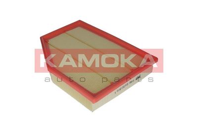 Air Filter F219501