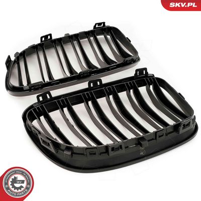 GRILA RADIATOR ESEN SKV 66SKV117 2
