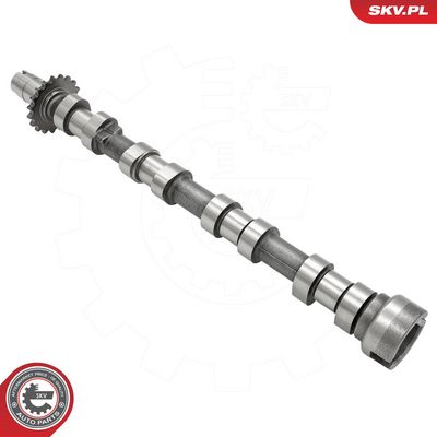 AX CU CAME ESEN SKV 80SKV041 4