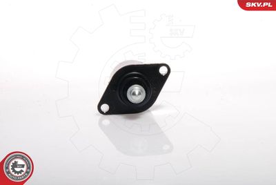 SUPAPA REGLAJ MERS IN GOL ADMISIE AER