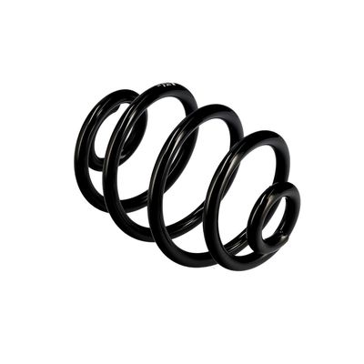 ARC SPIRAL EIBACH R10173 10