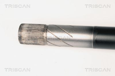 PLANETARA TRISCAN 854025648 1