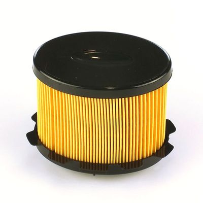 FILTRU COMBUSTIBIL DELPHI HDF514 10