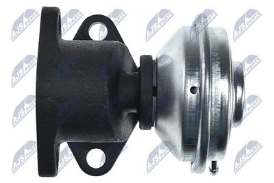 AGR-Ventil NTY EGR-AU-016