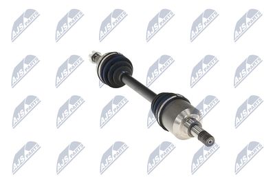 PLANETARA NTY NPWPE025 31