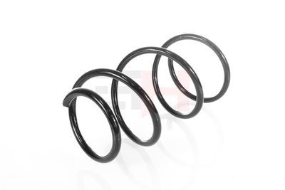 ARC SPIRAL GH GH204553 11