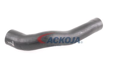 FURTUN EAR SUPRAALIMENTARE ACKOJA A379600 32