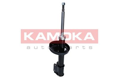 Shock Absorber 2000489