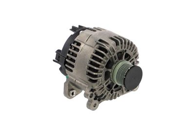 GENERATOR / ALTERNATOR REMANTE 011003000050R 49