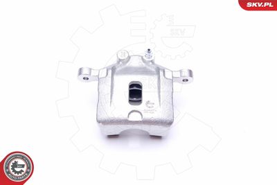 Brake Caliper 42SKV474