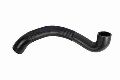 FURTUN EAR SUPRAALIMENTARE