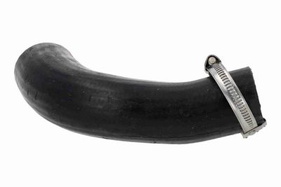 FURTUN EAR SUPRAALIMENTARE ACKOJA A520873 3