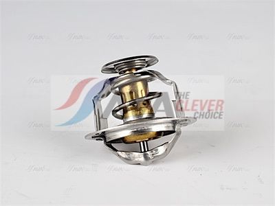 TERMOSTAT LICHID RACIRE AVA Clever Choice HYTS001 2