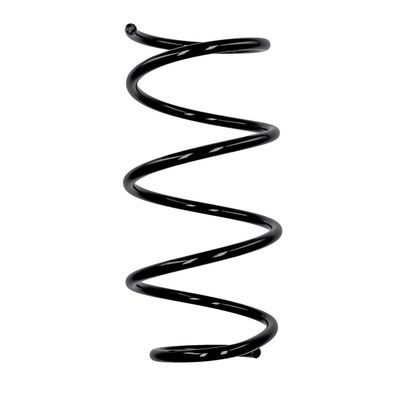 ARC SPIRAL EIBACH R10875 25