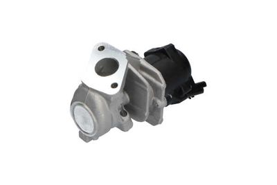 SUPAPA EGR Kavo Parts EEG9004 13