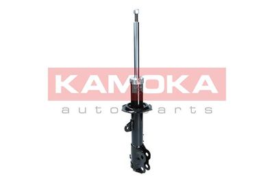 Shock Absorber 2000117