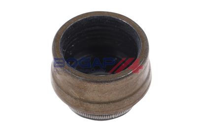 ETANSARE SUPAPE BOGAP A1343101 3