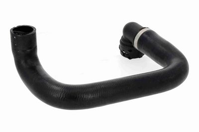 KüHLERSCHLAUCH VAICO V402534 1