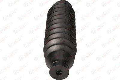 BURDUF CAUCIUC DIRECTIE BIRTH 7364 4