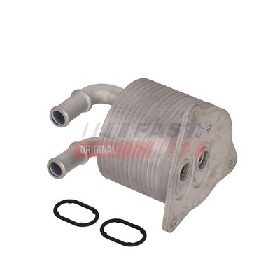 RADIATOR ULEI CUTIE VITEZE FAST FT04715 20