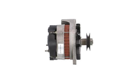 GENERATOR / ALTERNATOR REMANTE 011003000079R 47