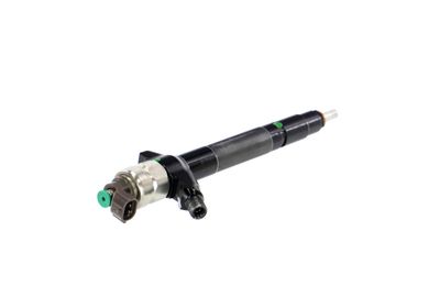 INJECTOR REMANTE 002003000087R 36