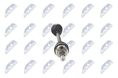 PLANETARA NTY NPWRE021 16