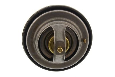 TERMOSTAT LICHID RACIRE MAPCO 28850 1