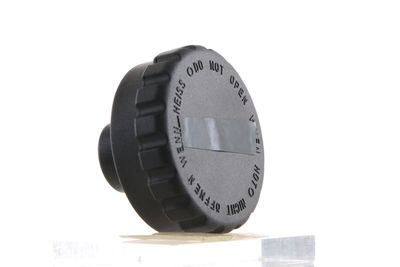 BUSON VAS EXPANSIUNE MAHLE CRB107000S 41