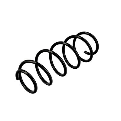 ARC SPIRAL EIBACH R10156 16