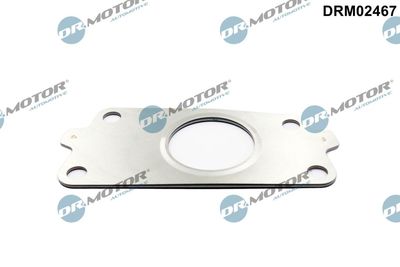 Dr.Motor Automotive Dichtung, Lader