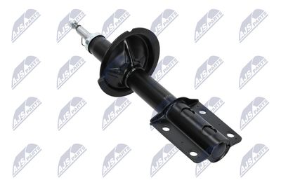 AMORTIZOR NTY ACT003 13