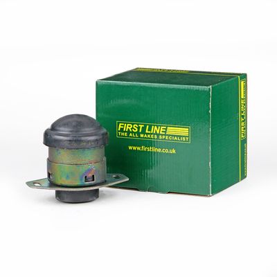 FIRST LINE Lagerung, Motor (FEM3914)
