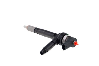 INJECTOR REMANTE 002003001191R 19