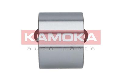 Wheel Bearing Kit 5600066