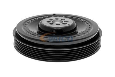 FULIE CUREA ARBORE COTIT VAICO V101492 46