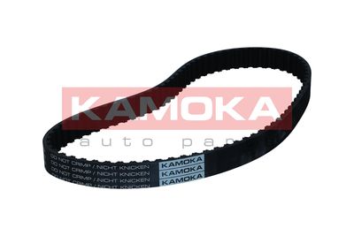 Timing Belt 7000093