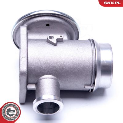 AGR-szelep ESEN SKV 14SKV176