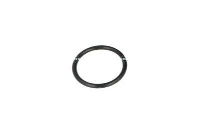 TERMOSTAT LICHID RACIRE NRF 725116 5