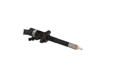 INJECTOR REMANTE 002003000030R 43
