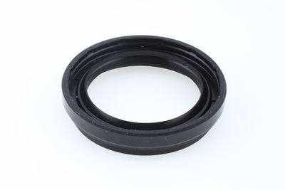 SIMERING DIFERENTIAL CORTECO 49179741 1