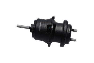 SUPORT MOTOR Kavo Parts EEM8013 10