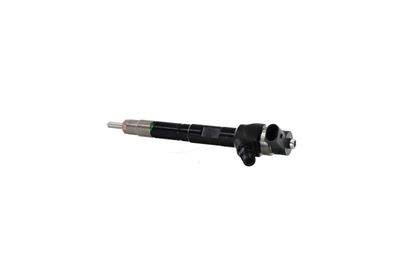 INJECTOR REMANTE 002003001489R 12