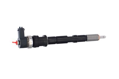INJECTOR REMANTE 002003001196R 38