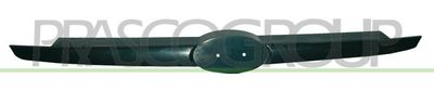 Решетка радиатора PRASCO HN3302001OE для HYUNDAI GETZ