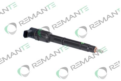 INJECTOR REMANTE 002003001691R 3