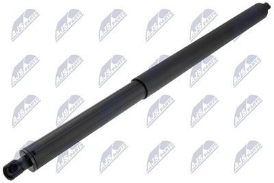 газов амортисьор, капак на двигателя NTY AE-VV-060