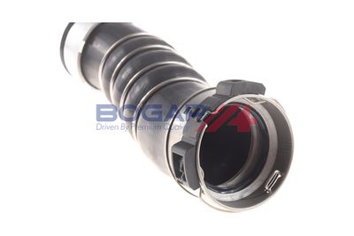 FURTUN EAR SUPRAALIMENTARE BOGAP B1711150 3