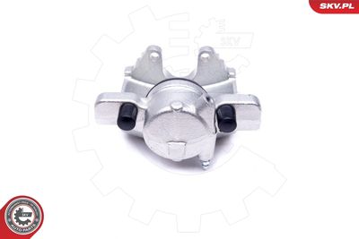 Brake Caliper 45SKV461