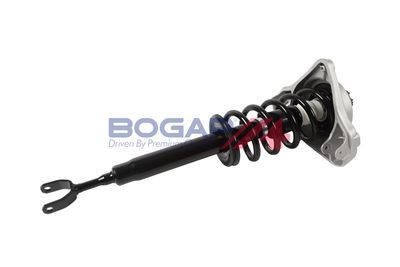 AMORTIZOR BOGAP A3410161